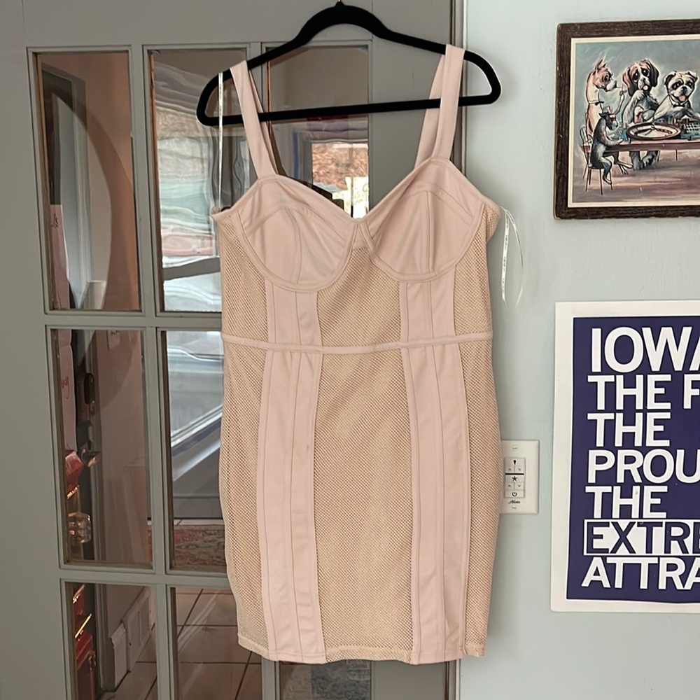 Pink mesh bodycon dress. NWT. Never worn. Excellent condition